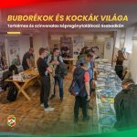 Buborékok és kockák világa (2026.04.25.)